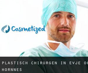 Plastisch Chirurgen in Evje og Hornnes