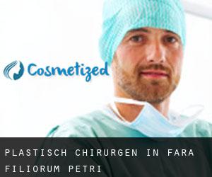 Plastisch Chirurgen in Fara Filiorum Petri