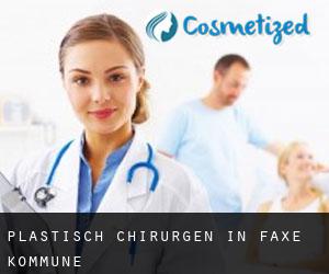 Plastisch Chirurgen in Faxe Kommune