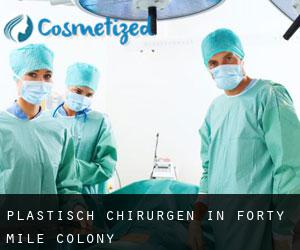 Plastisch Chirurgen in Forty Mile Colony
