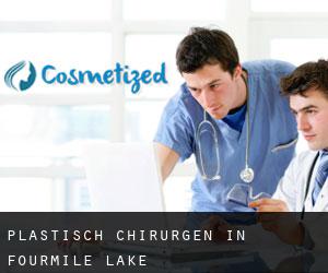 Plastisch Chirurgen in Fourmile Lake