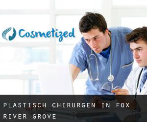 Plastisch Chirurgen in Fox River Grove