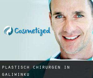 Plastisch Chirurgen in Galiwinku Plastisch Chirurgen in Galiwinku