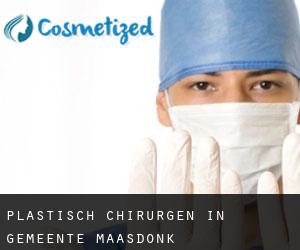 Plastisch Chirurgen in Gemeente Maasdonk