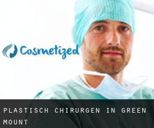 Plastisch Chirurgen in Green Mount