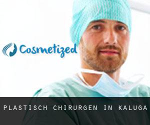 Plastisch Chirurgen in Kaluga