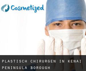Plastisch Chirurgen in Kenai Peninsula Borough
