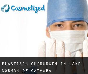 Plastisch Chirurgen in Lake Norman of Catawba
