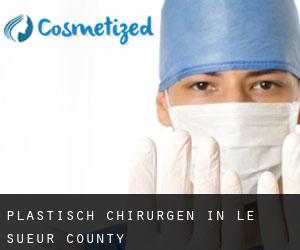 Plastisch Chirurgen in Le Sueur County