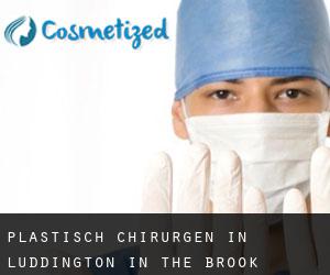 Plastisch Chirurgen in Luddington in the Brook