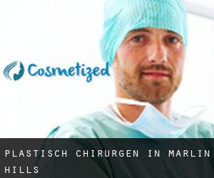Plastisch Chirurgen in Marlin Hills