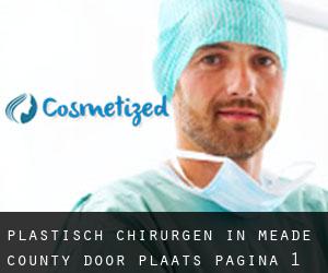 Plastisch Chirurgen in Meade County door plaats - pagina 1