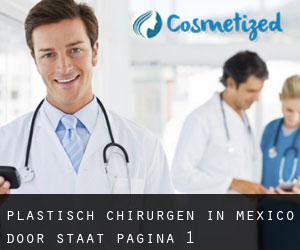Plastisch Chirurgen in Mexico door Staat - pagina 1