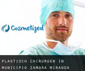 Plastisch Chirurgen in Municipio Zamora (Miranda)