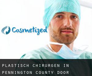 Plastisch Chirurgen in Pennington County door wereldstad - pagina 1