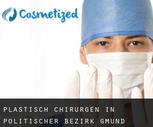 Plastisch Chirurgen in Politischer Bezirk Gmünd