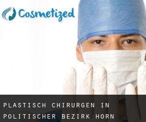 Plastisch Chirurgen in Politischer Bezirk Horn