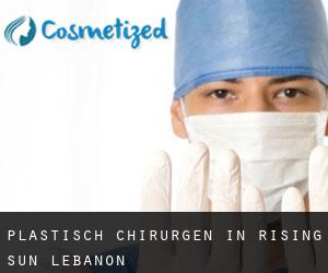 Plastisch Chirurgen in Rising Sun-Lebanon