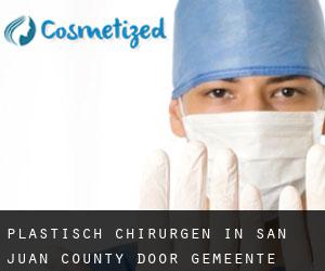 Plastisch Chirurgen in San Juan County door gemeente - pagina 1