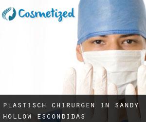 Plastisch Chirurgen in Sandy Hollow-Escondidas