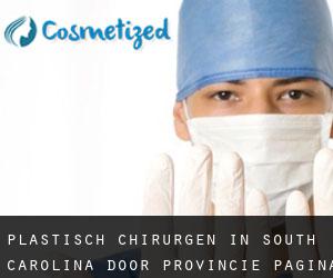 Plastisch Chirurgen in South Carolina door Provincie - pagina 1