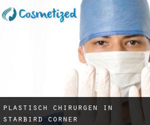 Plastisch Chirurgen in Starbird Corner