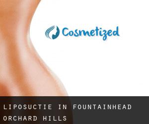 Liposuctie in Fountainhead-Orchard Hills