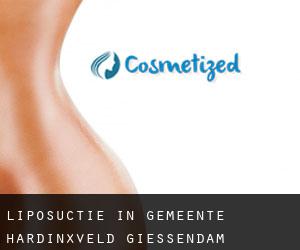Liposuctie in Gemeente Hardinxveld-Giessendam