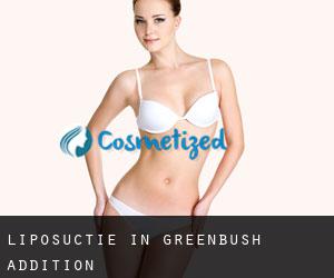 Liposuctie in Greenbush Addition