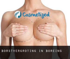 Borstvergroting in Boreing