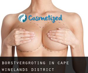 Borstvergroting in Cape Winelands District Municipality