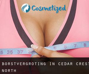 Borstvergroting in Cedar Crest North