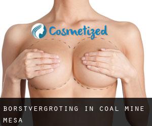 Borstvergroting in Coal Mine Mesa