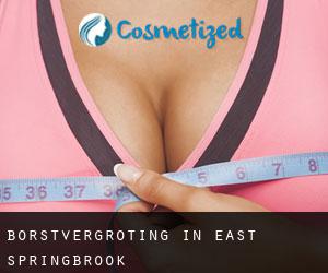 Borstvergroting in East Springbrook
