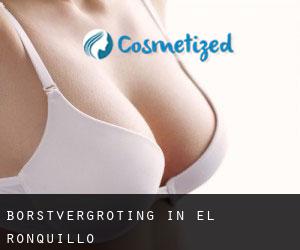 Borstvergroting in El Ronquillo