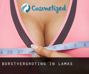 Borstvergroting in Lamas