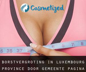 Borstvergroting in Luxembourg Province door gemeente - pagina 1