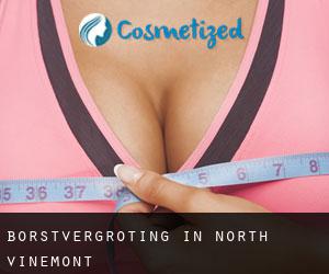 Borstvergroting in North Vinemont