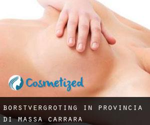 Borstvergroting in Provincia di Massa-Carrara