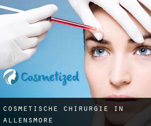 Cosmetische Chirurgie in Allensmore