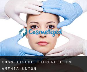 Cosmetische Chirurgie in Amenia Union