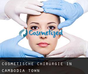 Cosmetische Chirurgie in Cambodia Town