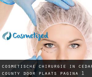 Cosmetische chirurgie in Cedar County door plaats - pagina 1