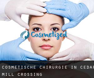 Cosmetische Chirurgie in Cedar Mill Crossing