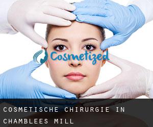 Cosmetische Chirurgie in Chamblees Mill