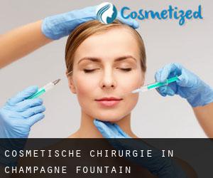Cosmetische Chirurgie in Champagne Fountain