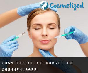 Cosmetische Chirurgie in Chunnenuggee