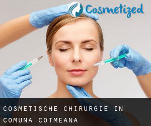 Cosmetische Chirurgie in Comuna Cotmeana