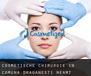 Cosmetische Chirurgie in Comuna Drăgăneşti (Neamţ)