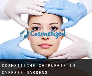 Cosmetische Chirurgie in Cypress Gardens
